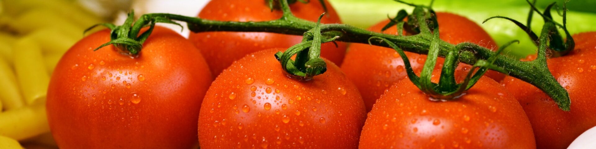 tomatoes and health benefits