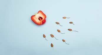 Ovarian Cysts : Everything You Need To Know
