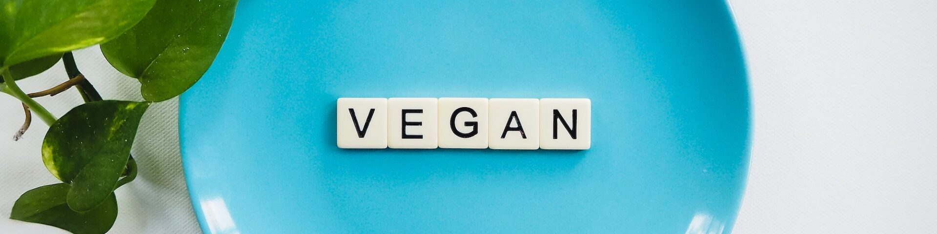 vegan foods